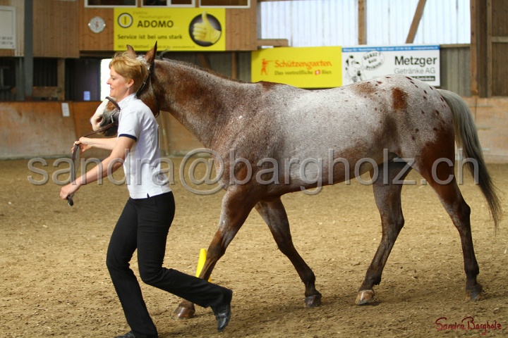24-ApHC HIH_079.jpg